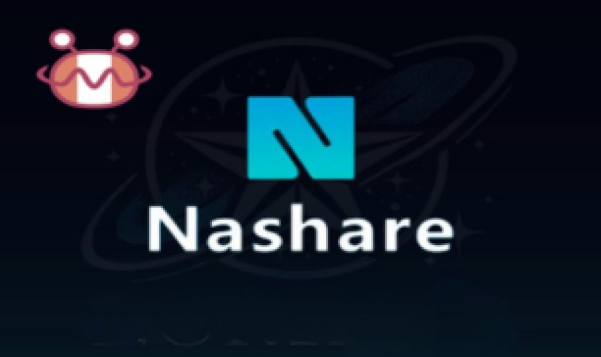 NASHARE SERVER: Stable & Reliable Options for Satellite TV Receiver Access
